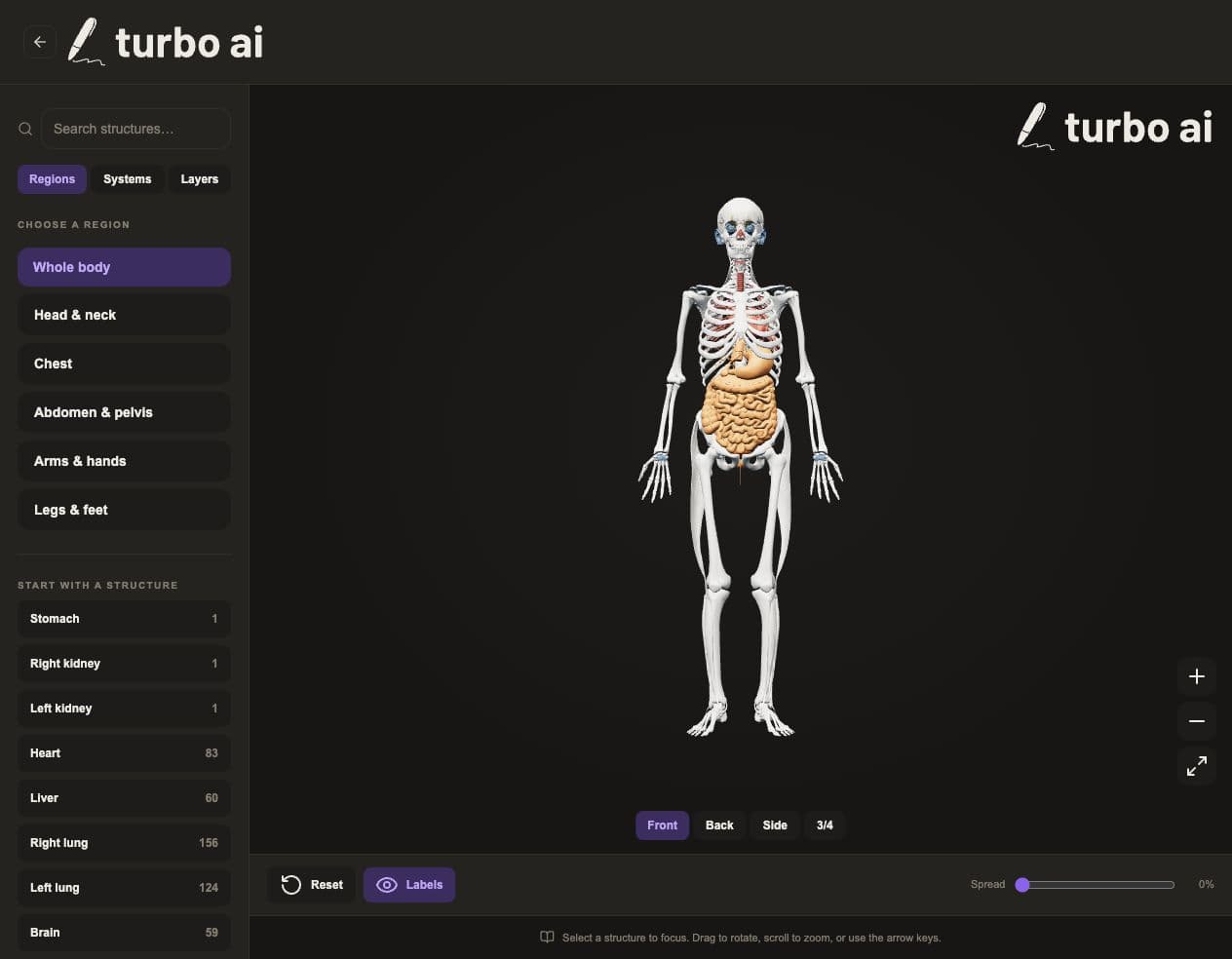 Turbo Anatomy with a 3D human body, structure search, and body-region controls