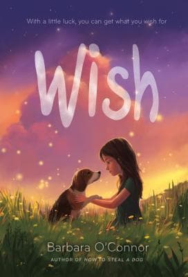 Wish cover