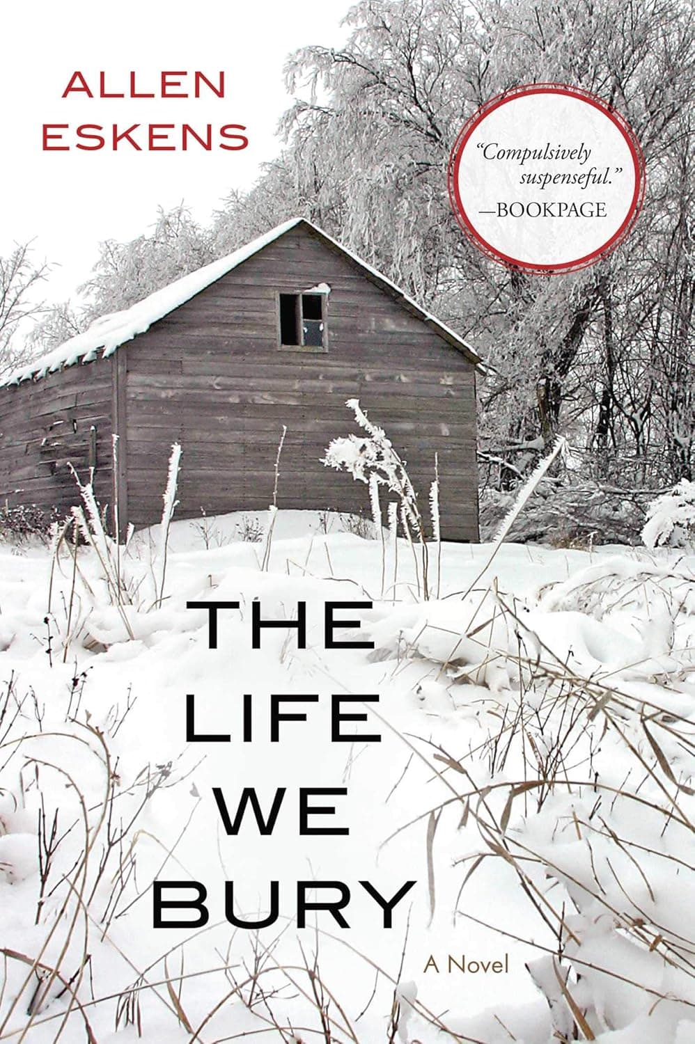 The Life we Bury cover