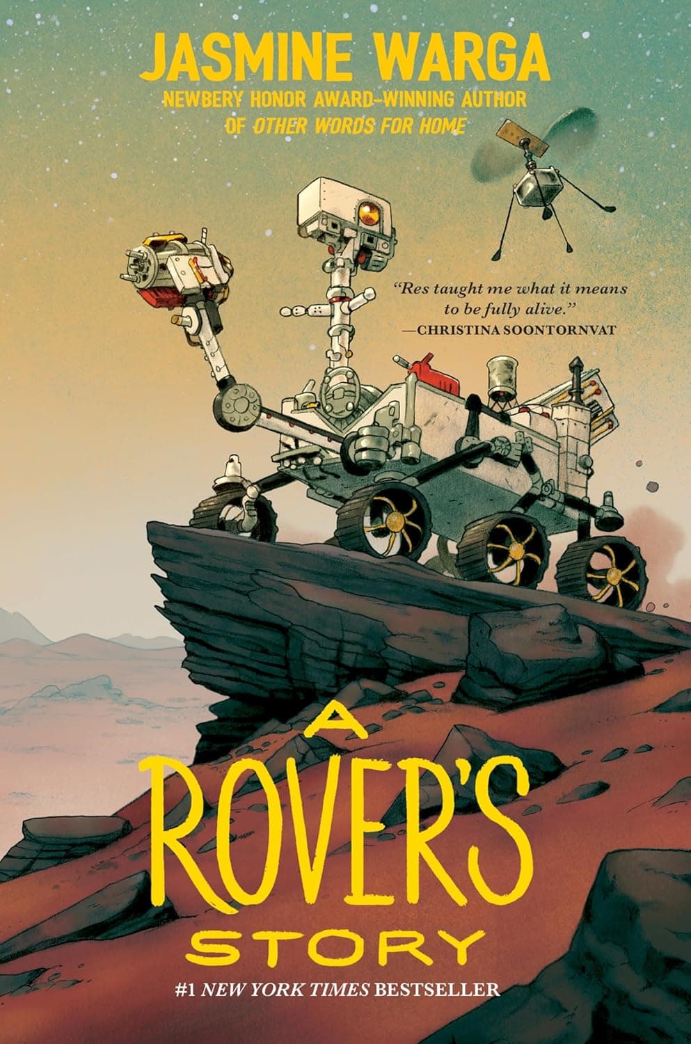 A Rover's Story cover