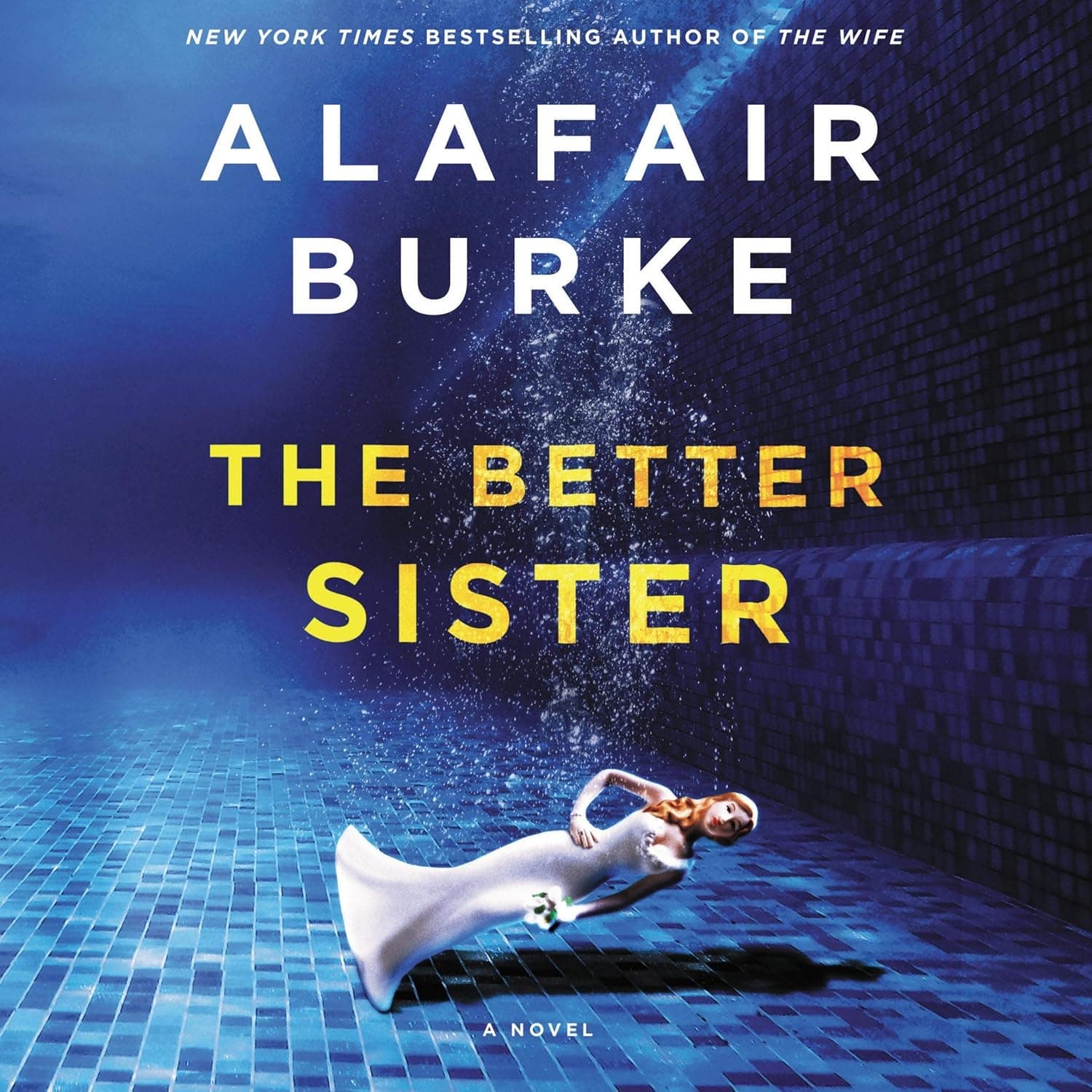 The Better Sister: A Novel cover